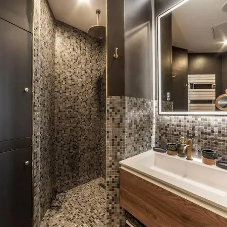 Le Petit - T3 De Grand Standing Au Vieux - Sauna Apartment